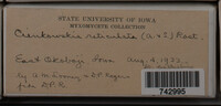 Image Associated With the Occurence